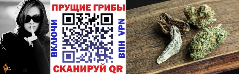 Купить  Соликамск  Псилоцибиновые грибы мухоморы 